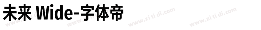 未来 Wide字体转换